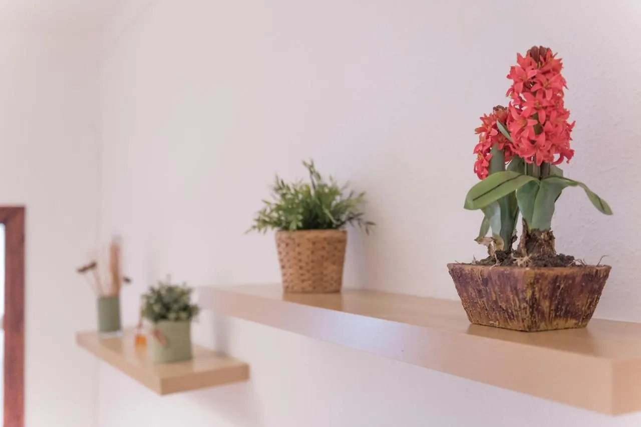 Sweet Bcn Studio With Terrace Barcelona Appartement